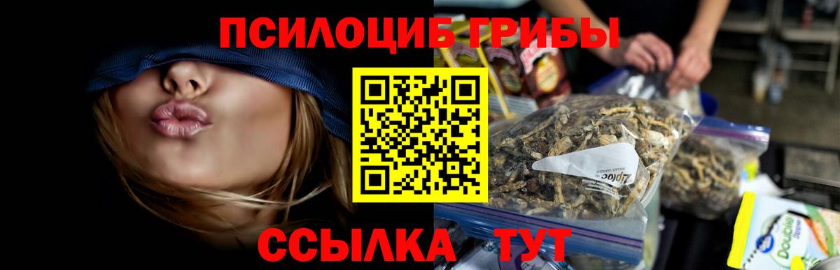 Псилоцибиновые грибы GOLDEN TEACHER Казань